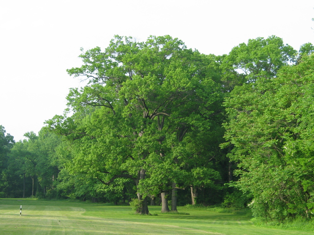 306-0641_IMG.JPG